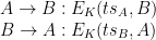 \begin{array}{l} A \rightarrow B: E_K(ts_A,B)\\B \rightarrow A: E_K(ts_B,A) \end{array}