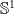 \mathbb{S}^{1}