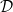 \mathcal{D}