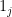 1_{j} 