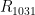 R_{1031}