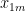 x_{1m}