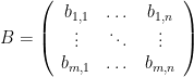 {B=\left(\begin{array}{ccc} b_{1,1} & \dots & b_{1,n}\\ \vdots & \ddots & \vdots\\ b_{m,1} & \dots & b_{m,n} \end{array}\right)}