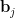 \mathbf{b}_j