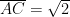 \overline{AC} = \sqrt{2}