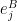 {e}_j^B