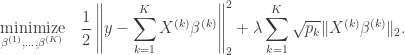 \begin{aligned} \underset{\beta^{(1)}, \dots, \beta^{(K)}}{\text{minimize}} \quad \frac{1}{2} \left\| y - \sum_{k=1}^K X^{(k)} \beta^{(k)} \right\|_2^2 + \lambda \sum_{k=1}^K \sqrt{p_k} \| X^{(k)} \beta^{(k)} \|_2. \end{aligned}