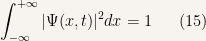 \displaystyle \int_{-\infty}^{+\infty}|\Psi (x,t)|^2dx=1 \ \ \ \ \ (15)