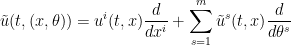 \displaystyle \tilde u(t,(x,\theta)) = u^i(t,x) \frac{d}{dx^i} + \sum_{s=1}^m \tilde u^s(t,x) \frac{d}{d\theta^s}