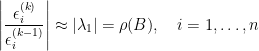 \displaystyle  \left|\frac{\epsilon_i^{(k)}}{\epsilon_i^{(k-1)}}\right|\approx\vert\lambda_1\vert=\rho(B),~~~i=1,\ldots,n