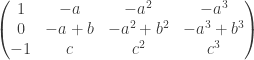 \left(\begin{matrix}1 & -a & -a^2 & -a^3 \\0 & -a+b & -a^2+b^2 & -a^3+b^3 \\-1 & c & c^2 & c^3\end{matrix}\right)