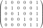 \left( {\begin{array} {rrrrrr} 1 & 0 & 0 & 0 & 0 & 1 \\ 0 & 1 & 0 & 0 & 0 & 1 \\ 0 & 0 & 1 & 0 & 0 & 1 \\ 0 & 0 & 0 & 1 & 0 & 1 \\ 0 & 0 & 0 & 0 & 1 & 1 \end{array} } \right) 