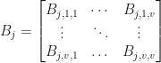 B_j=\begin{bmatrix} B_{j,1,1} & \cdots & B_{j,1,v}  \\ \vdots & \ddots & \vdots  \\ B_{j,v,1} & \dots & B_{j,v,v} \end{bmatrix}
