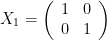 X_1 = \left( \begin{array}{cc} 1 & 0 \\ 0 & 1 \end{array} \right)