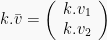 k.bar{v} = left(begin{array}{r} k.v_1\ k.v_2end{array}right)