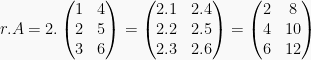 r.A = 2 . \begin{pmatrix} 1 & 4 \\ 2 & 5 \\ 3 & 6 \end{pmatrix} = \begin{pmatrix} 2.1 & 2.4 \\ 2.2 & 2.5 \\ 2.3 & 2.6 \end{pmatrix} = \begin{pmatrix} 2 & 8 \\ 4 & 10 \\ 6 & 12 \end{pmatrix}