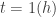 t=1 (h)
