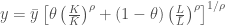 y = \bar{y} \left[\theta \left(\frac{K}{\bar{K}}\right)^{\rho} + (1-\theta)\left(\frac{L}{\bar{L}}\right)^{\rho}\right]^{1/\rho}